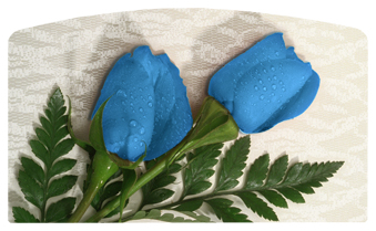 DACRO-051 2 Roses Blue